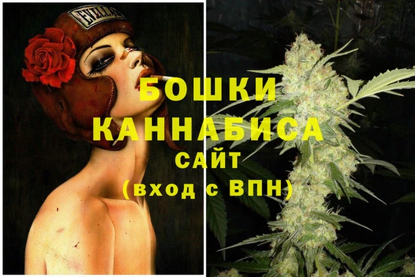 гидропоника Иннополис