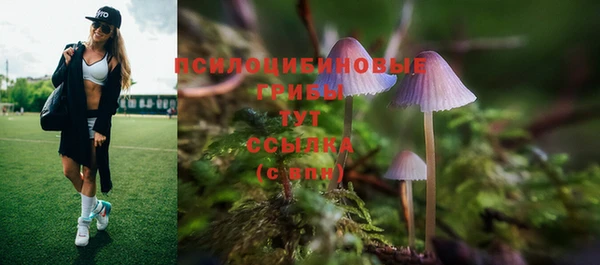 гидропоника Иннополис