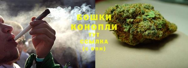 2c-b Инта